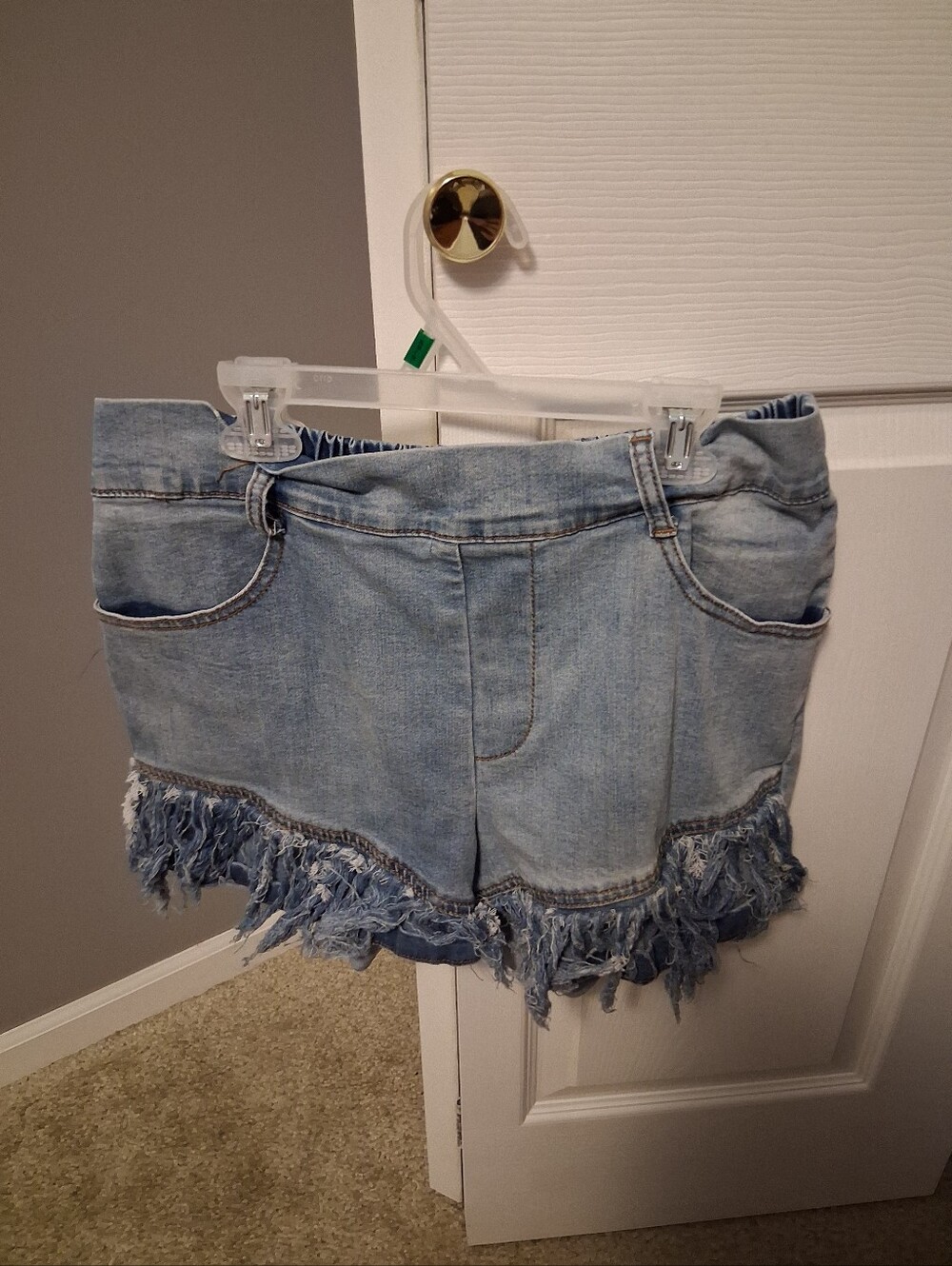 Women's Crazy Train shorts